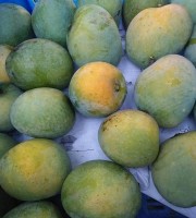 20 KG হিমসাগর আম ফর্মালিন মুক্ত